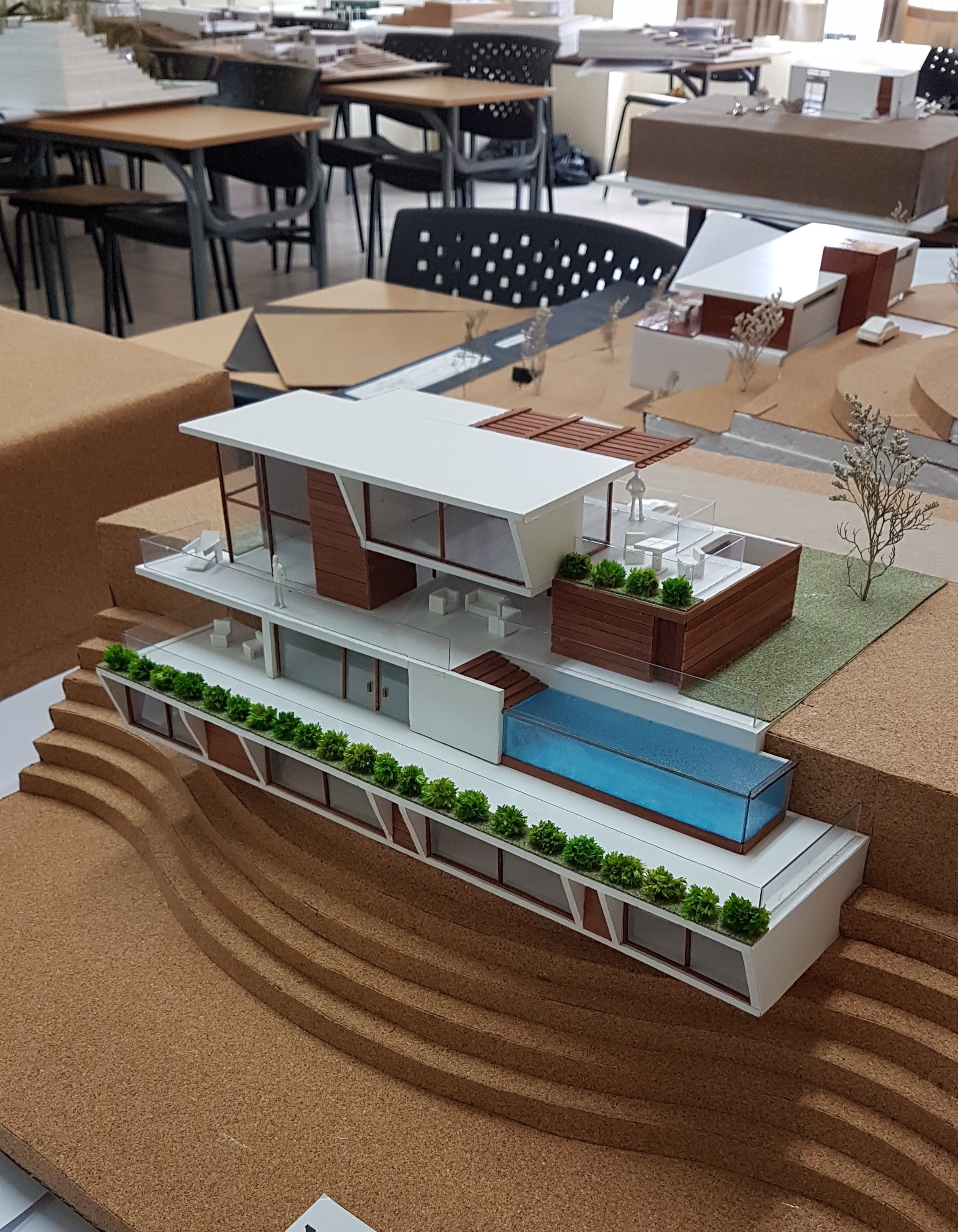 House Between Gardens